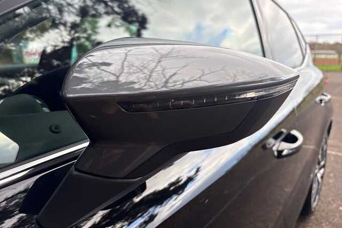 SEAT Ibiza 1.0 TSI 110 Xcellence Lux 5dr DSG